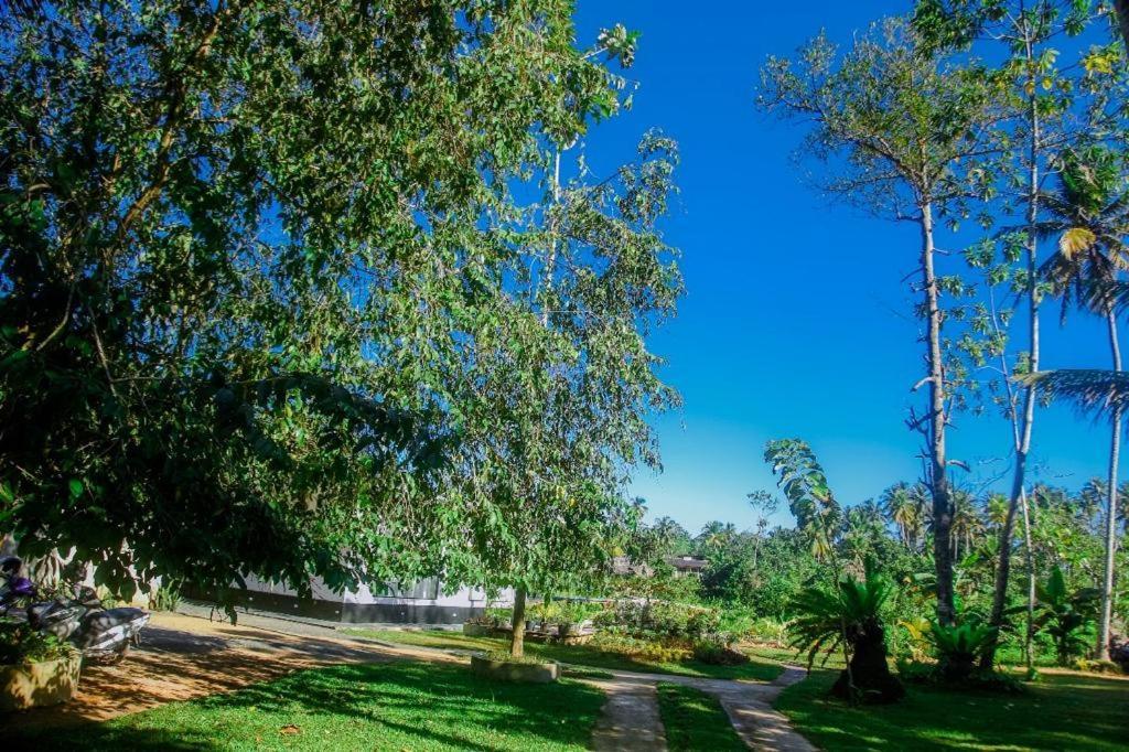 الشقق الفندقية فيليغامافي  The Glade المظهر الخارجي الصورة