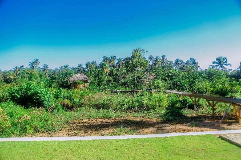 الشقق الفندقية فيليغامافي  The Glade المظهر الخارجي الصورة
