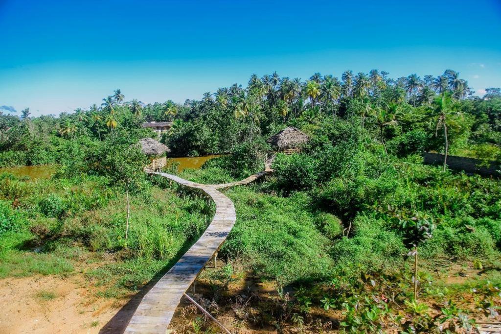 الشقق الفندقية فيليغامافي  The Glade المظهر الخارجي الصورة